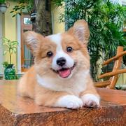 逆境生长的个人资料头像
