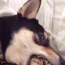 不想说话82618的个人资料头像