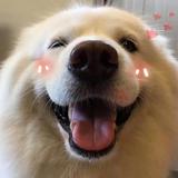 小楠👻头像
