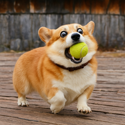 若久的个人资料头像