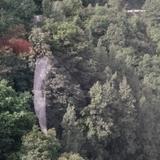 zhangwz123123头像