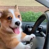 сскийязык头像