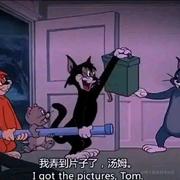 大姆铃西尾的个人资料头像