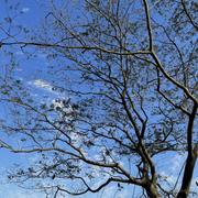 豆沙包yyy的个人资料头像