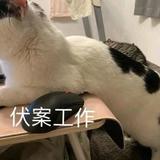 薛定谔解A股头像