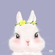 小菜686的个人资料头像