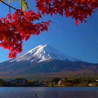 彩云追月LQ头像