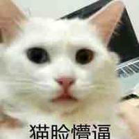 宝来尊行版头像