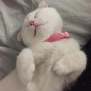 从海木木涛然的个人资料头像