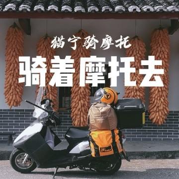 猫宁骑摩托头像