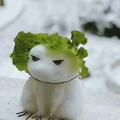 手撕菜包头像