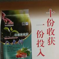 王者之屋头像