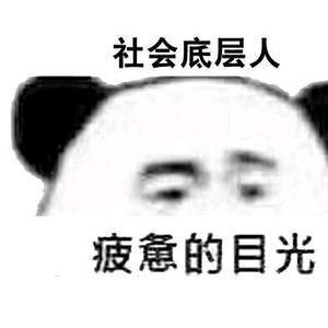 伊凡诺维奇睿智人生头像