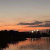 用户6559977313649头像