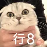 蘇炜懿头像