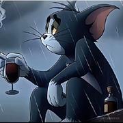 默默的潜水的个人资料头像