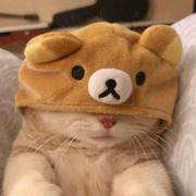 玉兔捣码的个人资料头像