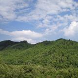 手机用户57735789550头像