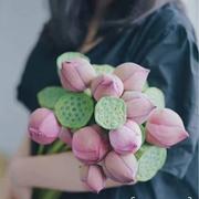 向往960的个人资料头像