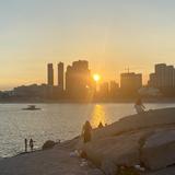 幸运小羊qGN头像