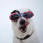 Benjamin_WQ的个人资料头像