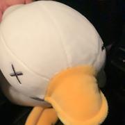 大飞561的个人资料头像