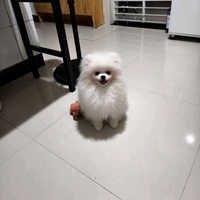 清闲的溪流bI头像