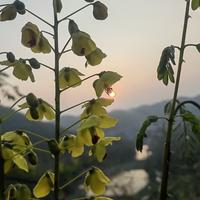 德系铁粉但马自达车主头像