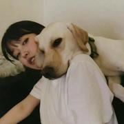 point的个人资料头像