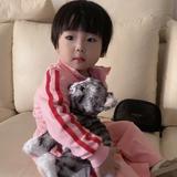 没有什么感受头像