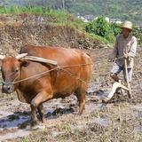 江湖上的事少打听头像