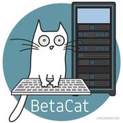 BaldProgrammer的个人资料头像