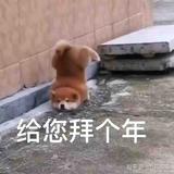 1829799头像