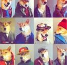 LifeMegician的个人资料头像