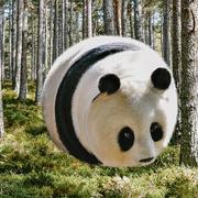 8426的个人资料头像