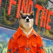 重生用户之12138的个人资料头像