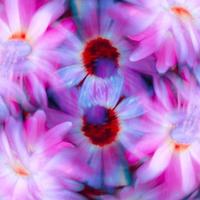 芝士甜心空间站头像