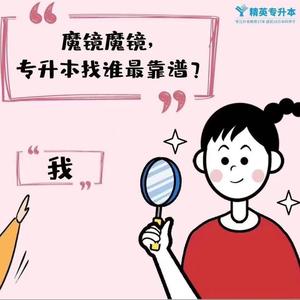 王老师带你上本科头像