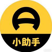 懂车创作小助手头像