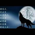 猎狼汉1头像