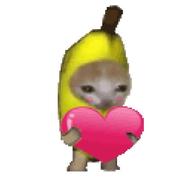 吃土豆丝儿啵的个人资料头像