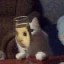 何勇的个人资料头像