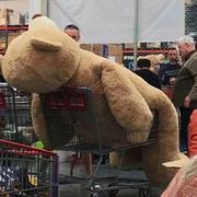 什么事的个人资料头像