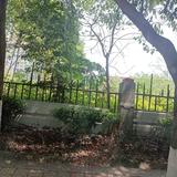 吉祥1814115738288头像