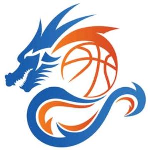 盘球龙头像