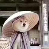 用户110273662头像