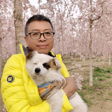自在般若菠萝蜜头像
