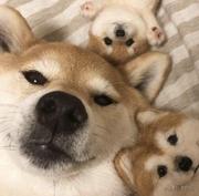 是小郭哇_的个人资料头像