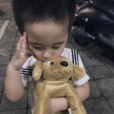 用户9553294652456头像