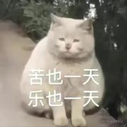 piz24的个人资料头像